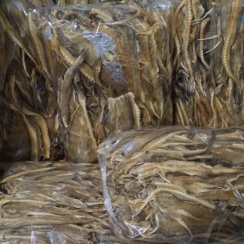 Curah dalam Plastik